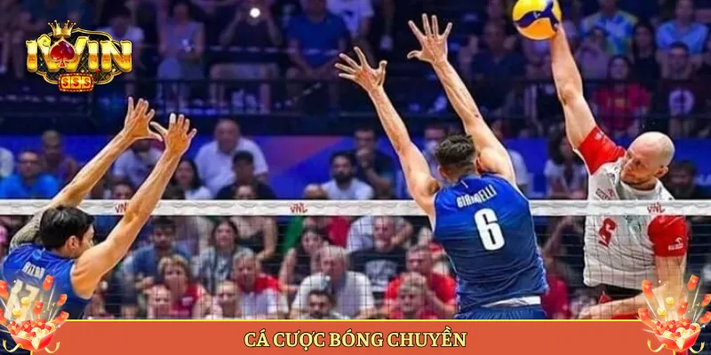 Cá Cược Bóng Chuyền Tại Iwin Soi Kèo Lưới Cho Anh Em